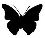 Schmetterling Symbol